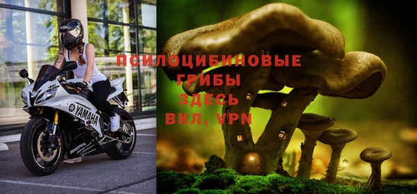 spice Зеленокумск