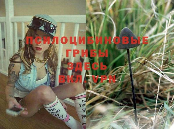 spice Зеленокумск