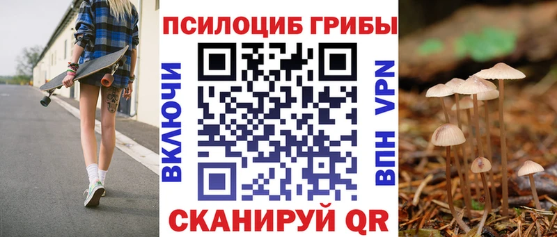 Псилоцибиновые грибы GOLDEN TEACHER  Купить где  Медвежьегорск 